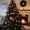 Christmas Tree Real Name, History, Species Types, and 2025 Decoration Trends Explained